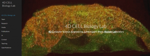4D-CELL-BioLab (188Кб)
