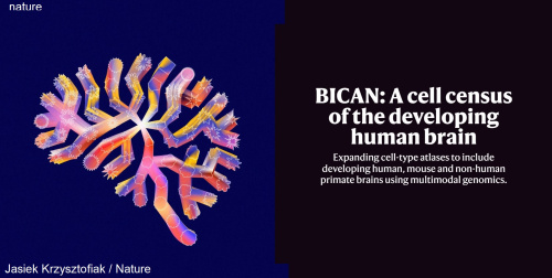 BICAN-Logo (317Кб)